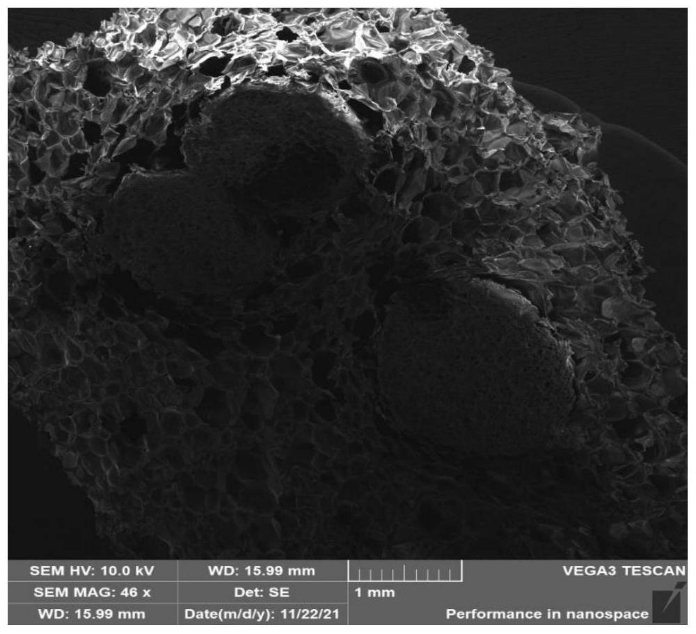 一種改性可發(fā)性聚苯乙烯顆粒、制備方法及其應(yīng)用