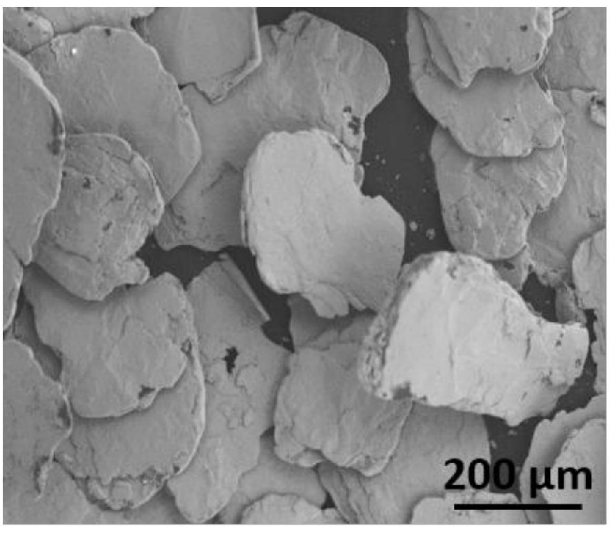 夾金屬層鱗片石墨及其制備方法和應用