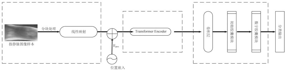 指靜脈識別模型訓練方法及識別方法、系統(tǒng)和終端